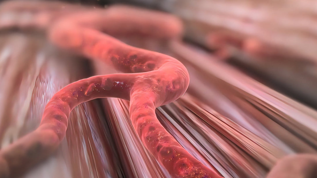 Nixulin™ and Its Primary Lead Compound—Diethyl Azelate - Nixulin™ Blood Sugar Support
