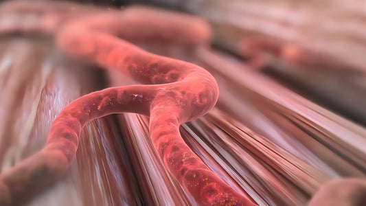 Nixulin™ and Its Primary Lead Compound—Diethyl Azelate - Nixulin™ Blood Sugar Support